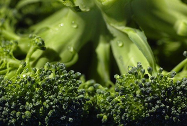 Bestimmte Darmbakterien können aus Broccoli Sulforaphan freisetzen